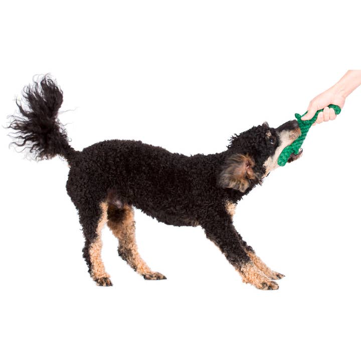 LABONI - Volentis GmbH - Wholesale Pet Chew Toy - Dog - KALLI KROKODIL – The Gentle Giant with Play Value11