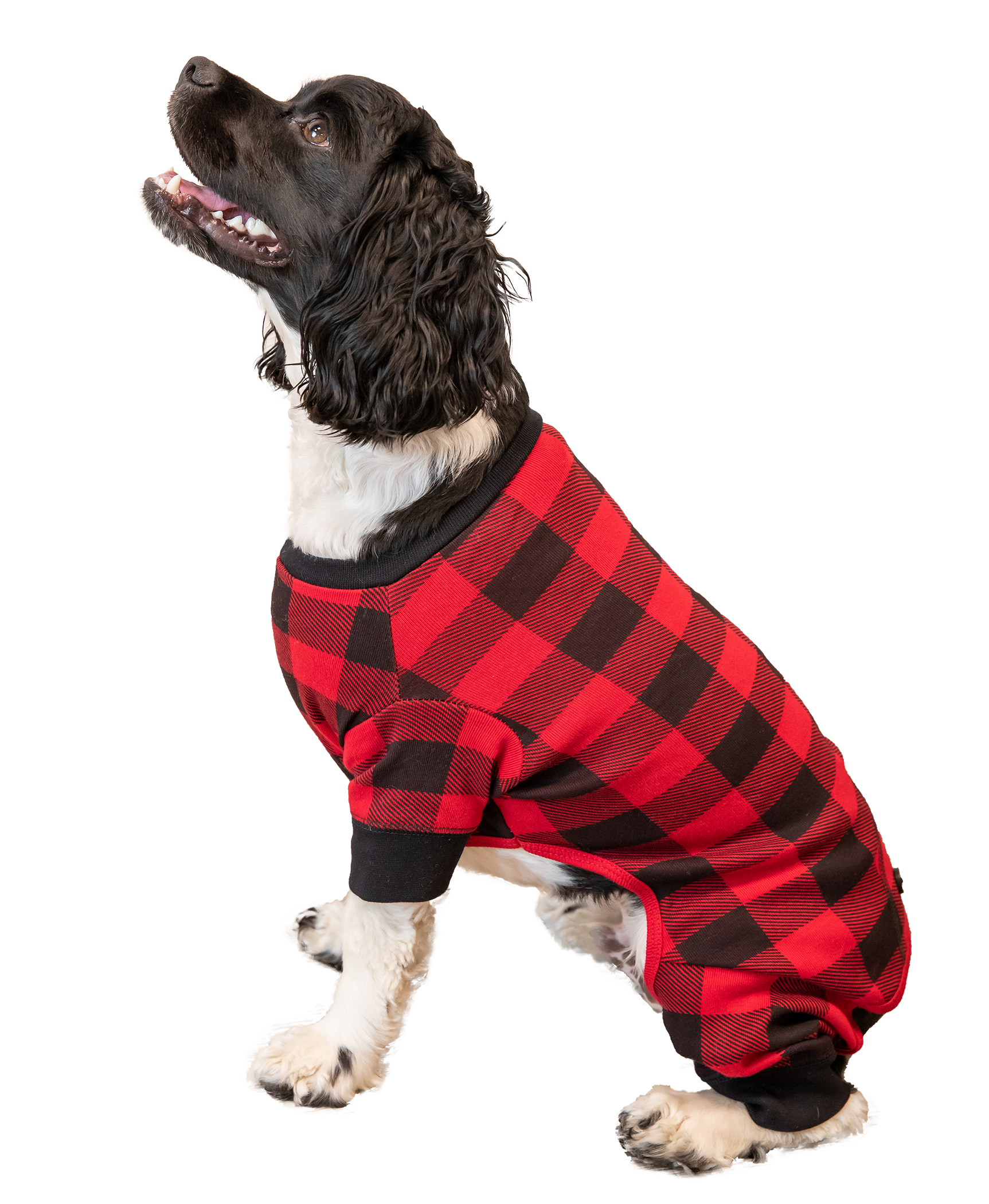 Lazy One - Wholesale Pet Costume - Dog - Plaid Bear Cheeks Dog Flapjacks9