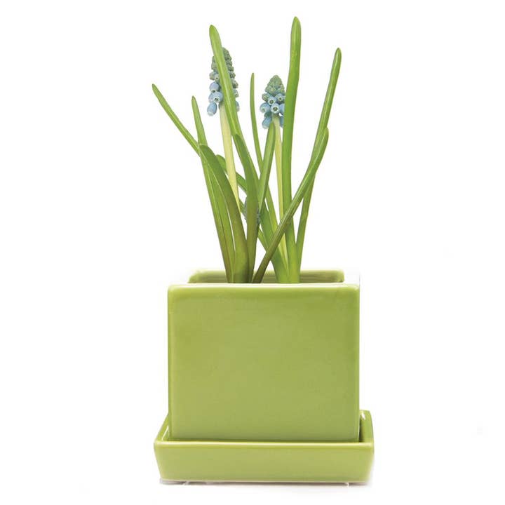 Chive - Wholesale Plant Pot - Cube & Saucer Indoor Plant Pot With Drainage
