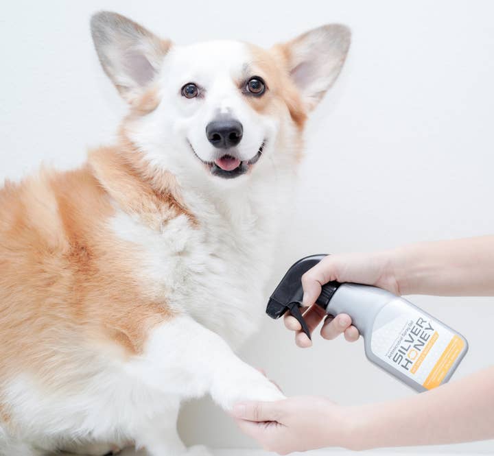 Pet Palette Distribution - Wholesale Pet Spray - Dog - Absorbine Pet - Silver Honey Hot Spot & Wound Spray 8 fl oz2