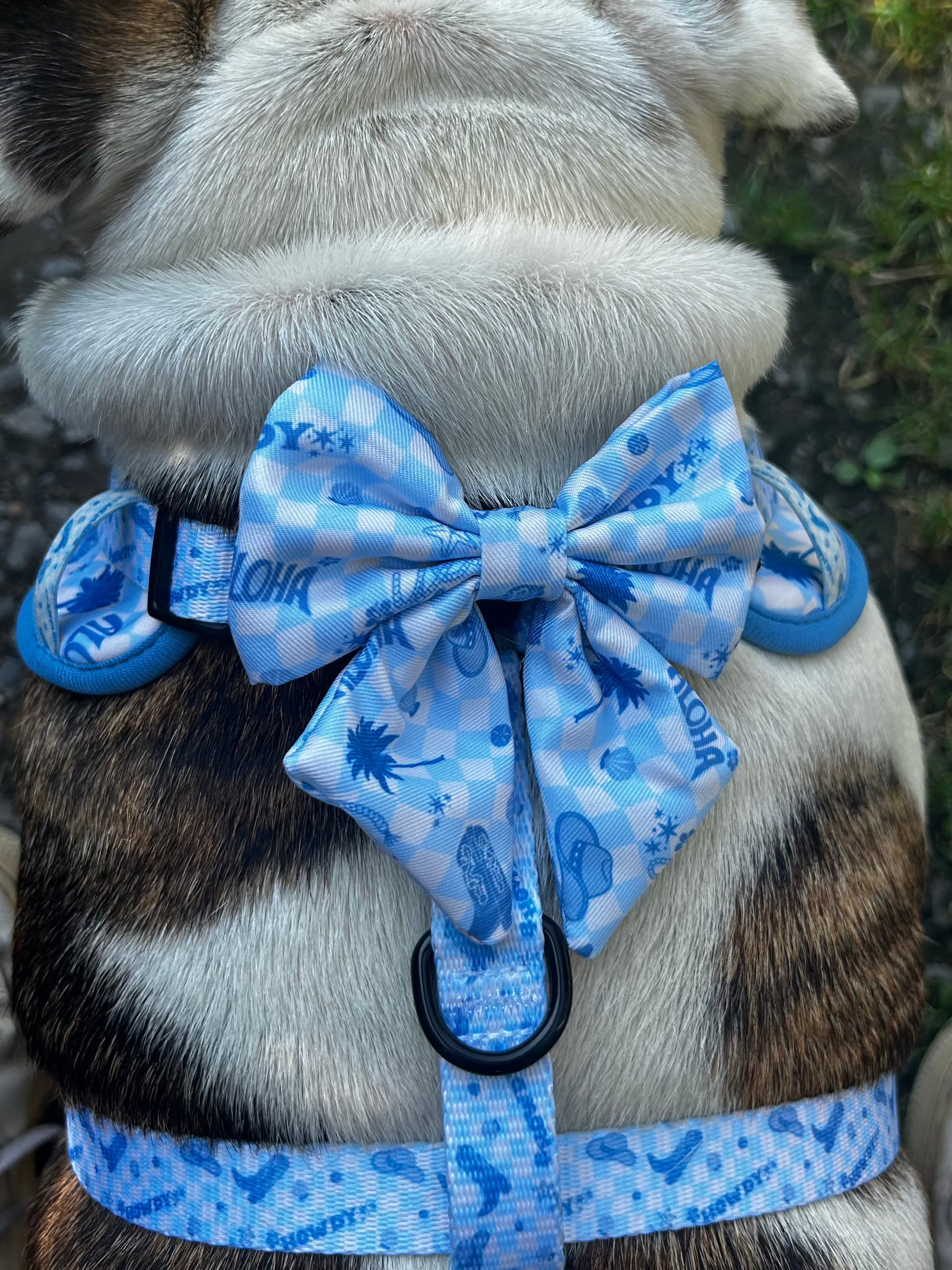 Gnarly Dawgs Pet Products - Venta al por mayor Pajarita - Perros - El Lazo Marinero Cowabunga1