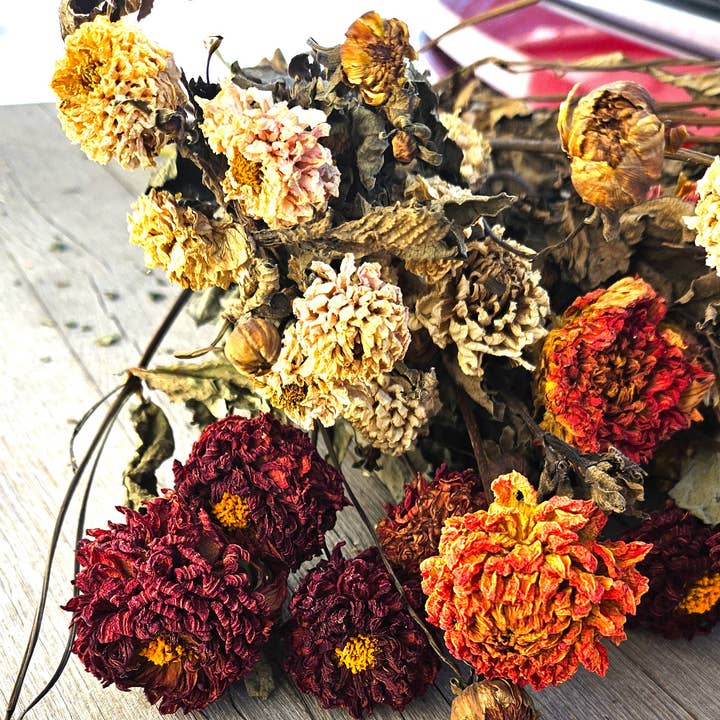 Alissas Flower Farm - Wholesale Dried/Pressed Flowers - Dried Dahlias3