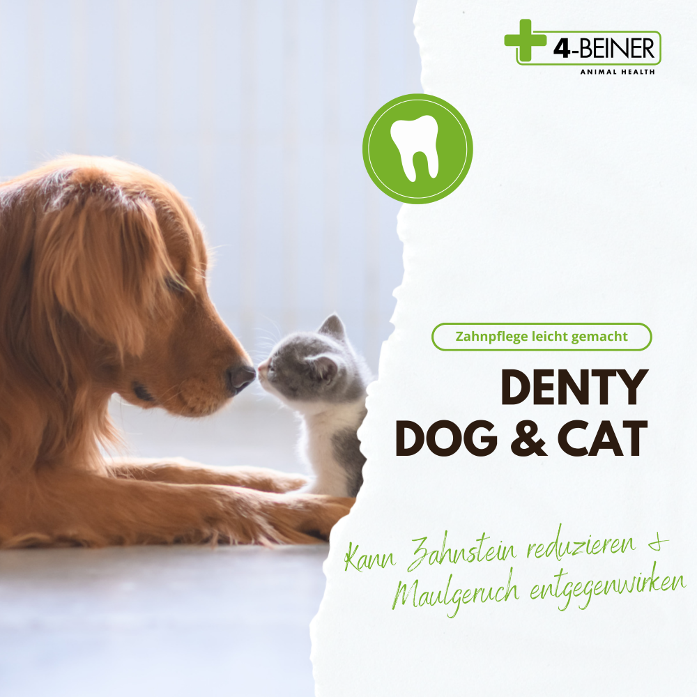 Kauartikel.com GmbH - Wholesale Pet Supplement - Cat/Dog - 4-legged Denty-Dog & Cat 90g1