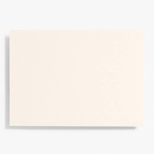 Paper Source Wholesale - Wholesale Stationery/Notecard Set - A7 Note Card Bulk Pack (100 pack)14