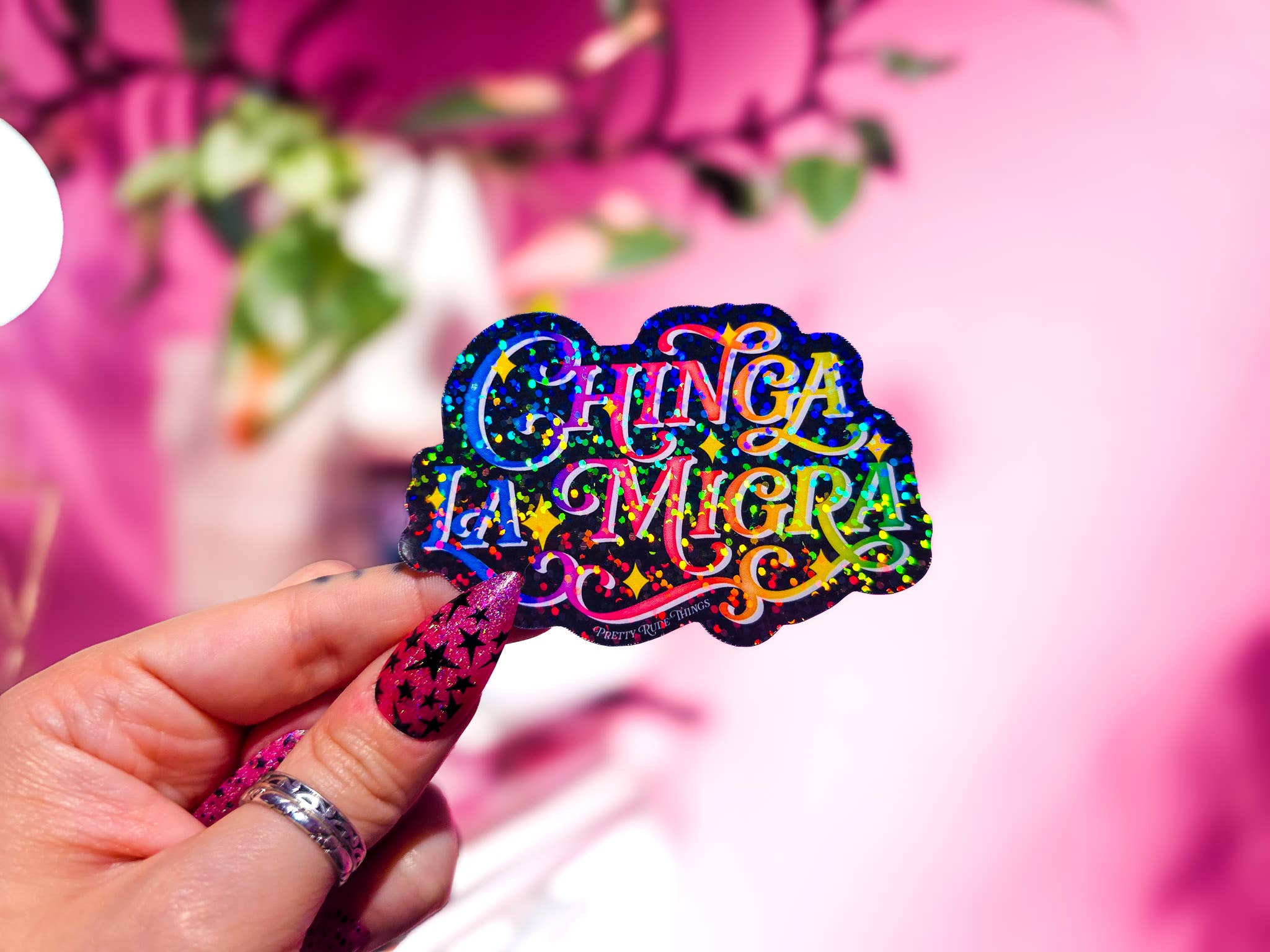 Pretty Rude Things - Wholesale Sticker - Chinga La Migra, F*ck ICE, Pro Immigration Sticker5