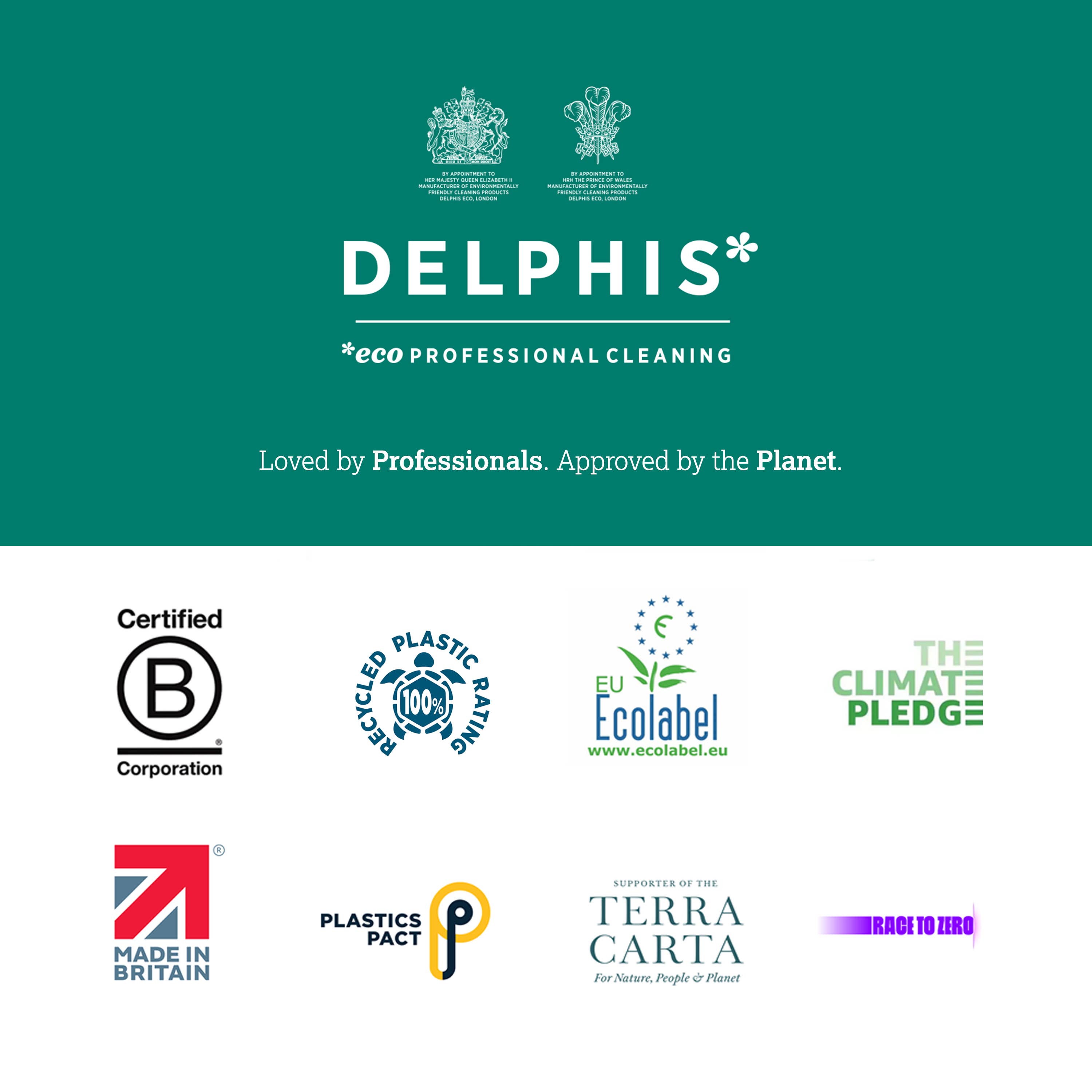 Delphis Eco - Wholesale Multi-Surface Cleaner - Delphis Eco Limescale Remover5