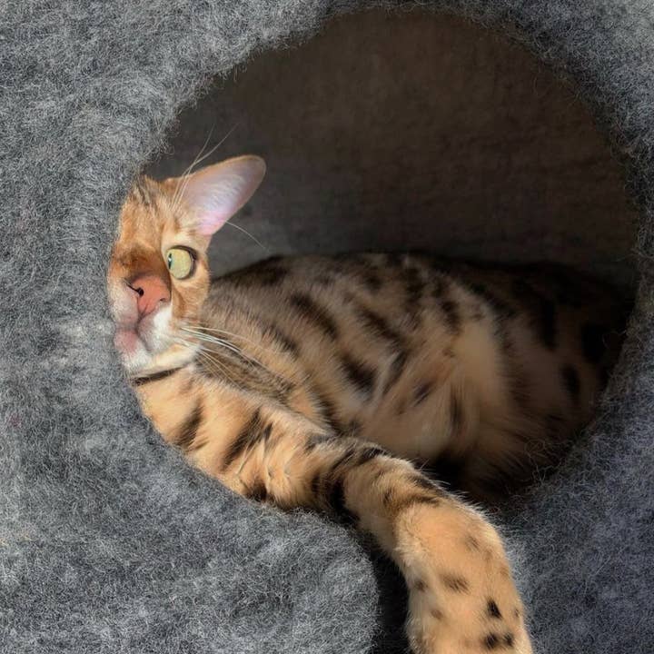 Mishum - Wholesale Pet bed – Cat/dog - Cat Caves Pet Bed Cocoon10