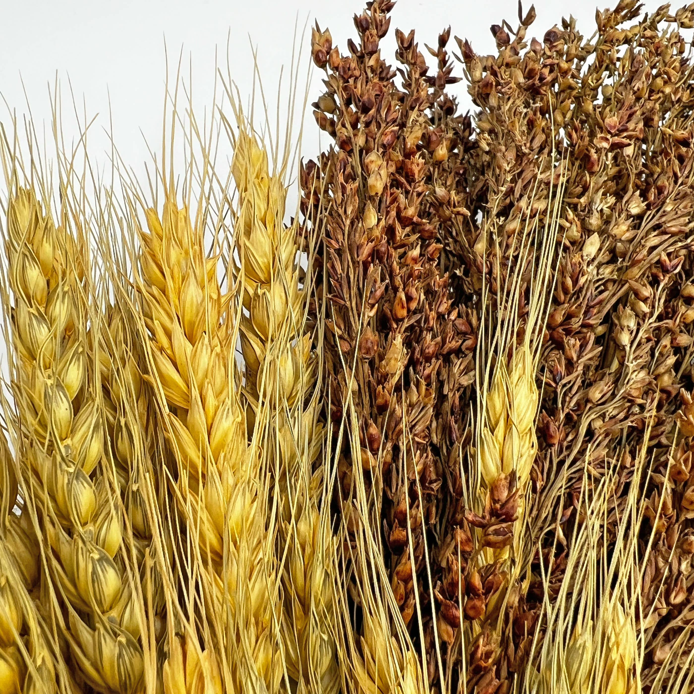 2626 Designs - Wholesale Wreath - Fall Autumn Wreath - Real Dried Preserved Wheat and Sorghum4