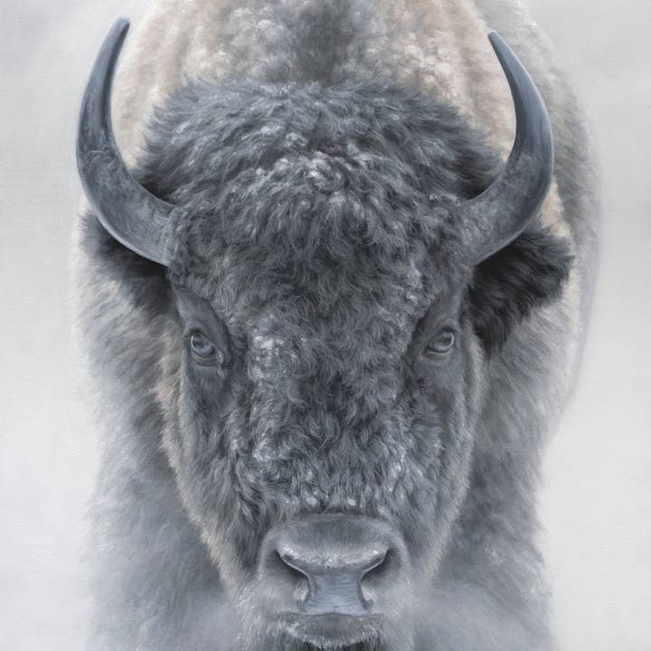 The Provider - Bison in Winter Mist - Art Canvas Print for wholesale by James Corwin Fine Art