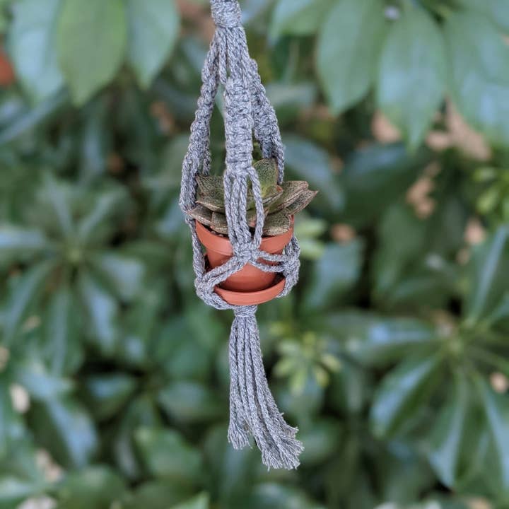 Leaf and Cord - Wholesale Hanging Planter - Mini Macrame Plant Hanger2