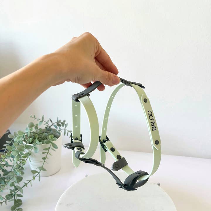 Kina Dogs - Vente Harnais – chien - Harnais personnalisable en PVC15