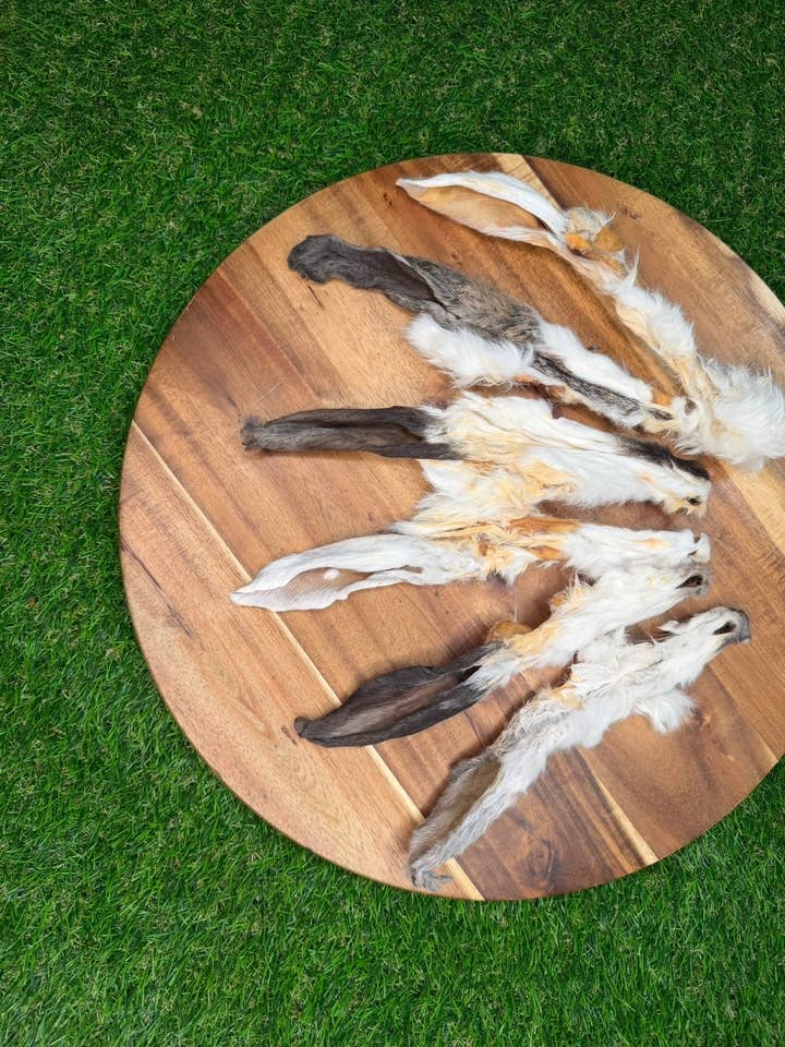 Rabbit Ear 90pc Bulk Dog Chew Natural Single Ingredient for wholesale by Furever Fierce (formerly Furever Primal)