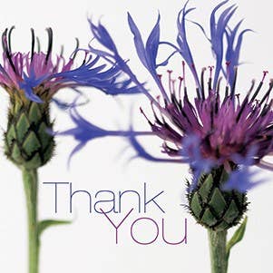 FFTY33 THANK YOU Carte de vœux Fleurs de jardin anglais pour la vente par Dyson Design