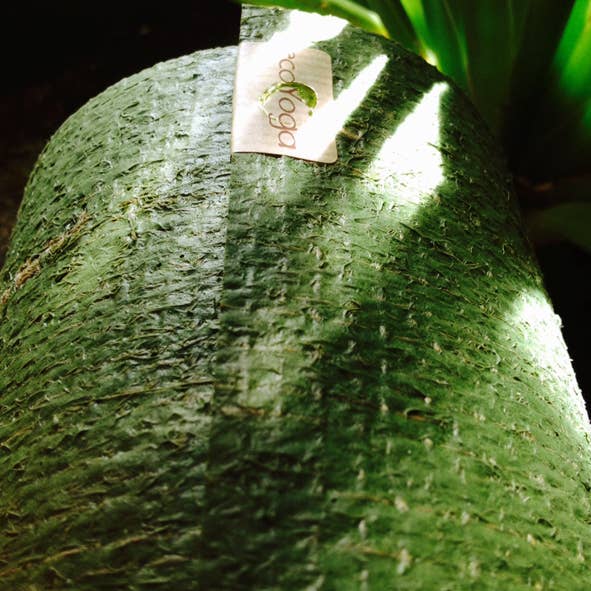 ecoYoga Ltd - Vente Tapis de yoga - Tapis de yoga écologique Phoenix GREEN 6 mm 100 % caoutchouc naturel et jute2