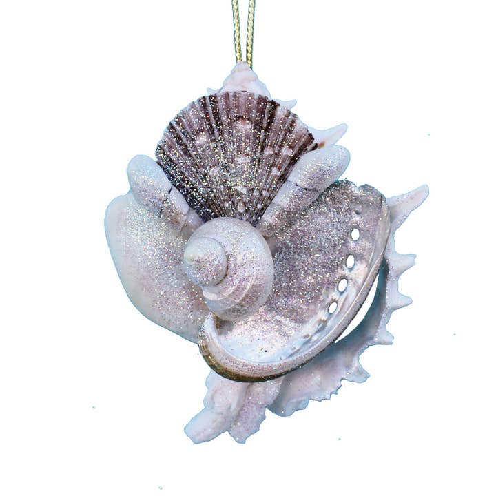 Sliced Pink Murex Seashell Collage Ornament for wholesale by California Seashell Company