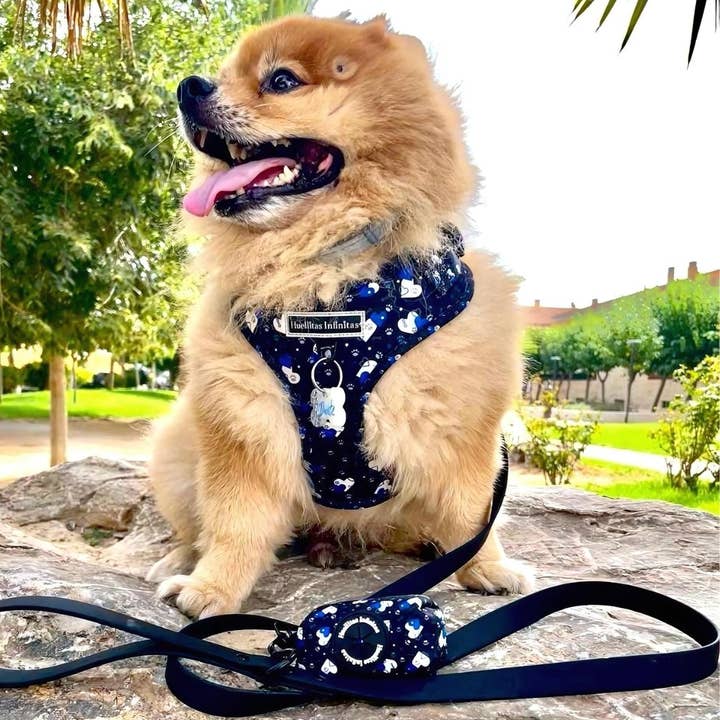 HUELLITAS INFINITAS - Wholesale Tuig voor huisdieren - Hond - Fantasy Hearts verstelbaar harnas6