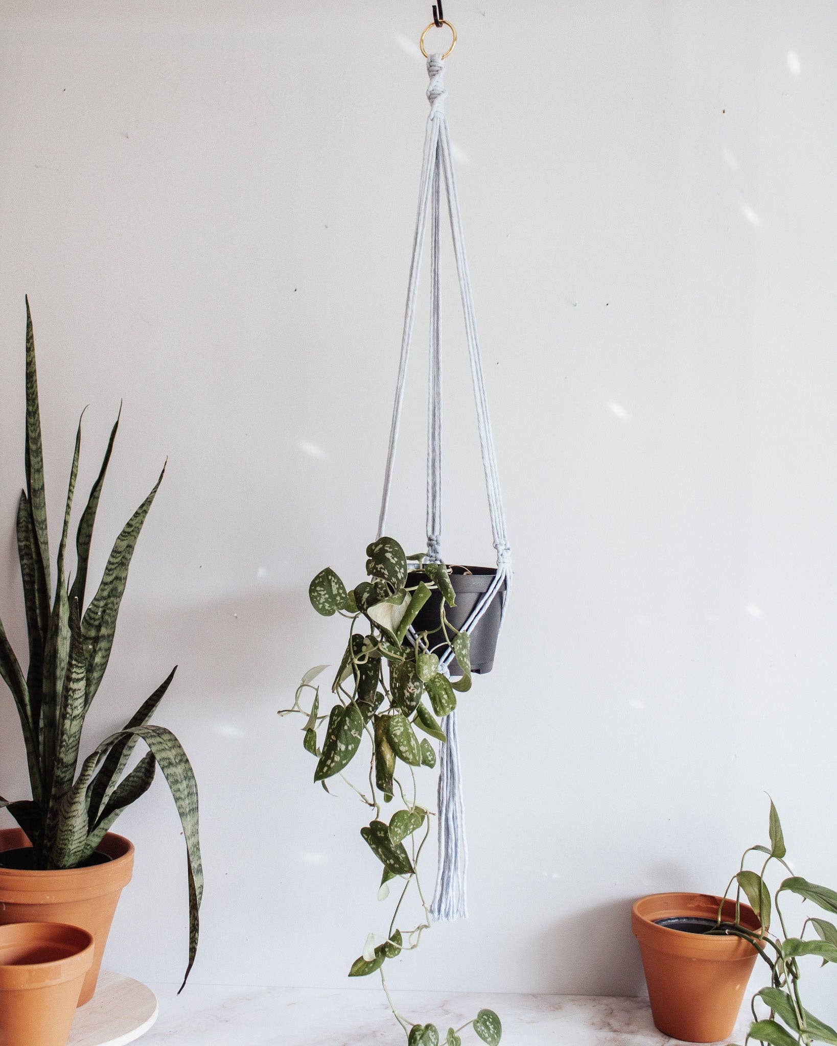 Modern Bo Studio - Wholesale Hanging Planter - Basic Macrame Plant Hanger1