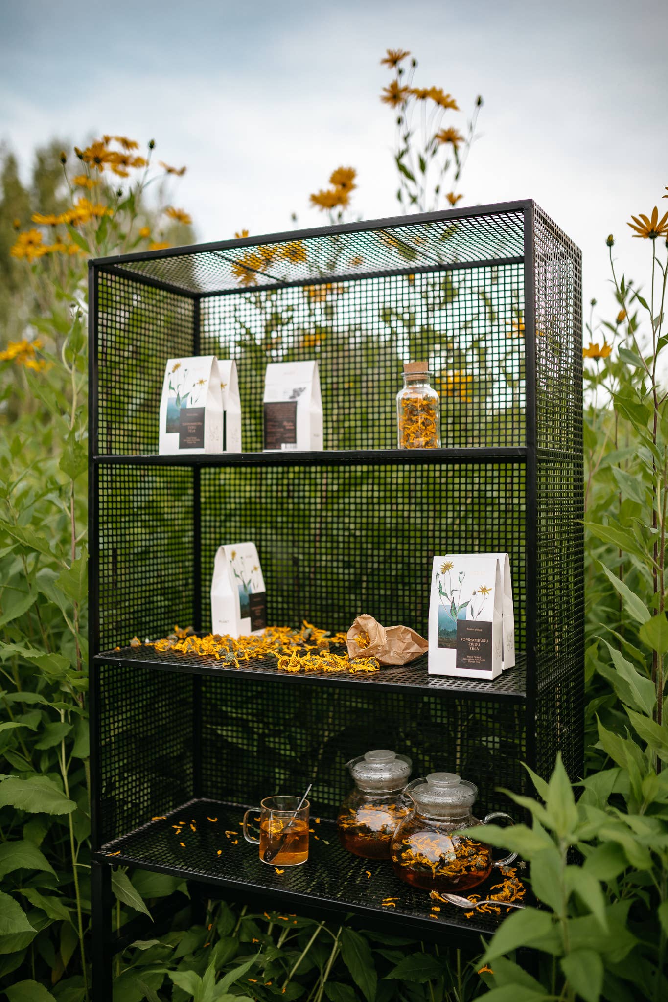 Plūkt – Großhandel Gesundheits-/Entgiftungstee – Topinamburblütentee – zertifizierter Bio-Kräutertee8