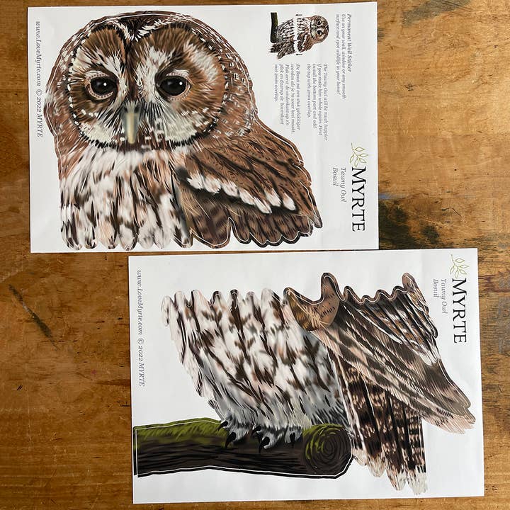 MYRTE - Wholesale Wall Decal/Stickers - Tawny Owl Illustration Wall Decal4
