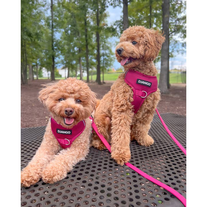 DJANGO - Wholesale Pet Harness - Dog - Tahoe No Pull Dog Harness - Hibiscus Pink1