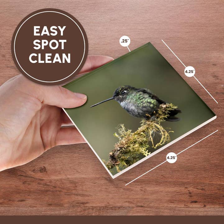 3dRose - Wholesale Coasters - 3dRose, Talamanca Hummingbird, Costa Rica, Central America, Coaster6