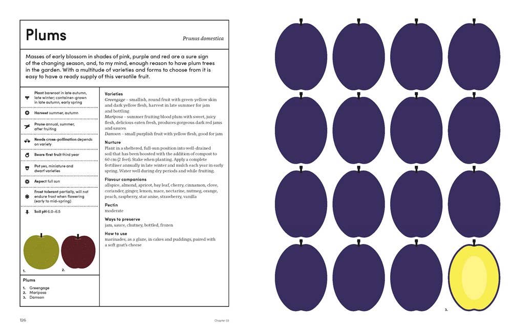 W. W. Norton - Wholesale Home & Garden - The Preserving Garden6