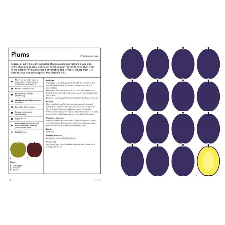 W. W. Norton - Wholesale Home & Garden - The Preserving Garden6