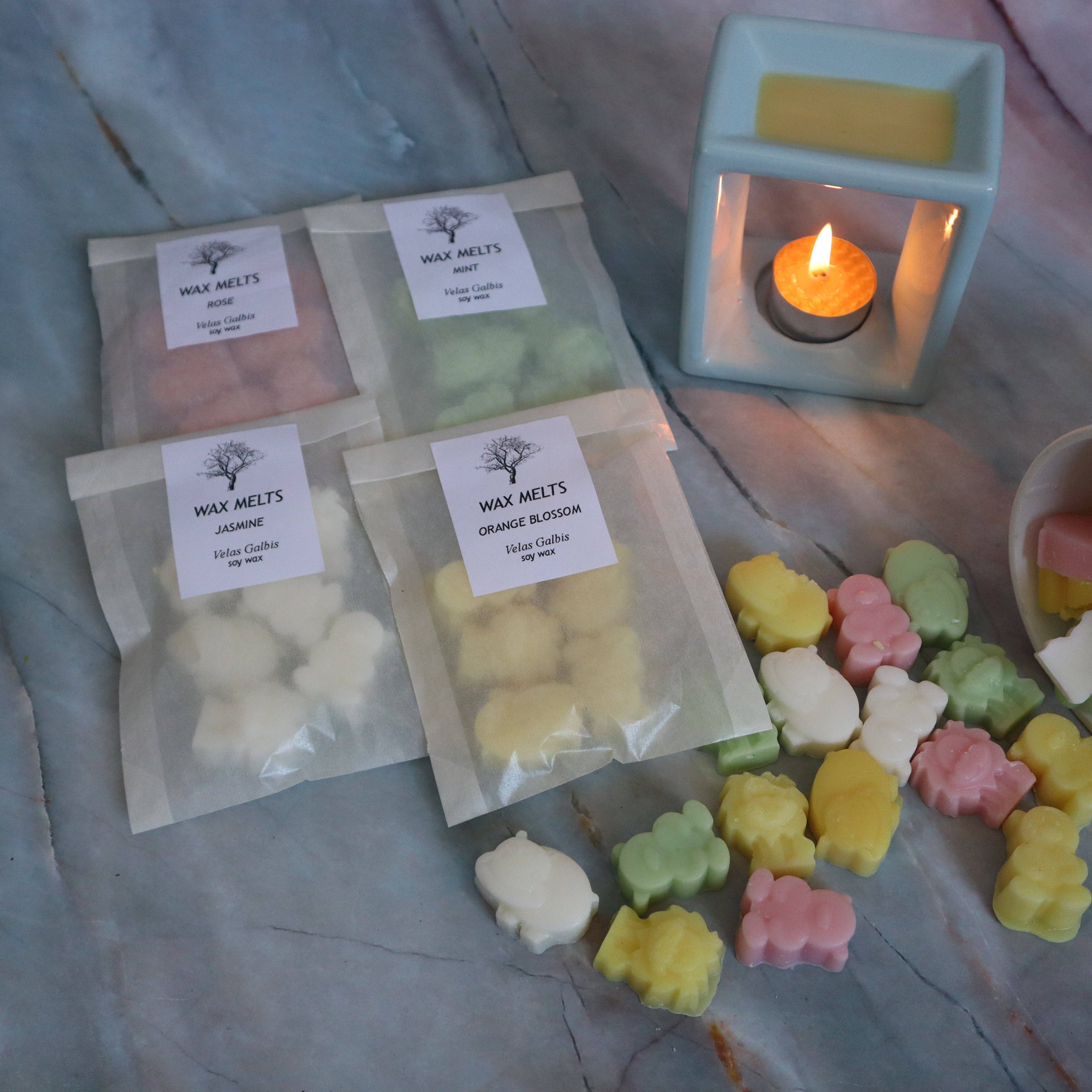 Velas Galbis - Jose Galbis Soler, S.L. - Wholesale Wax Melt - Wax melts white2