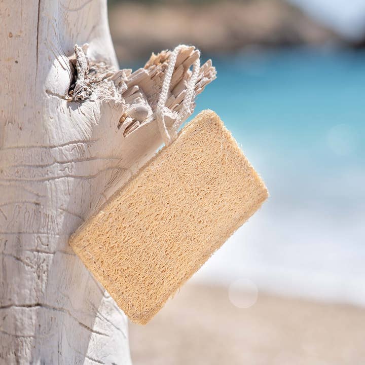 Oceansrespect 🌊🌍🌱 - Wholesale Loofah - Natural and biodegradable loofah sponge