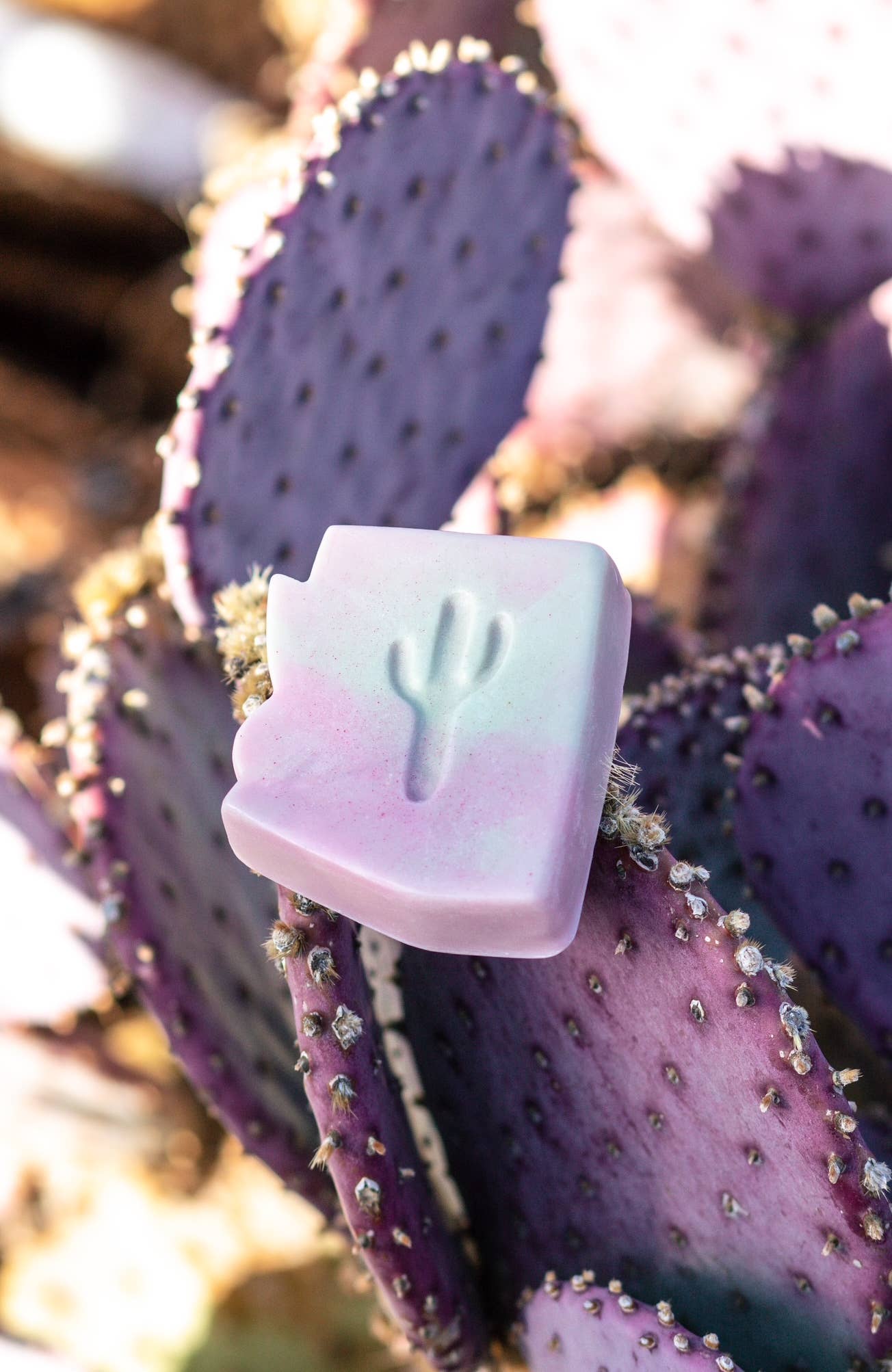 Naked Fig - Wholesale Bar Soap - Arizona Prickly Pear6