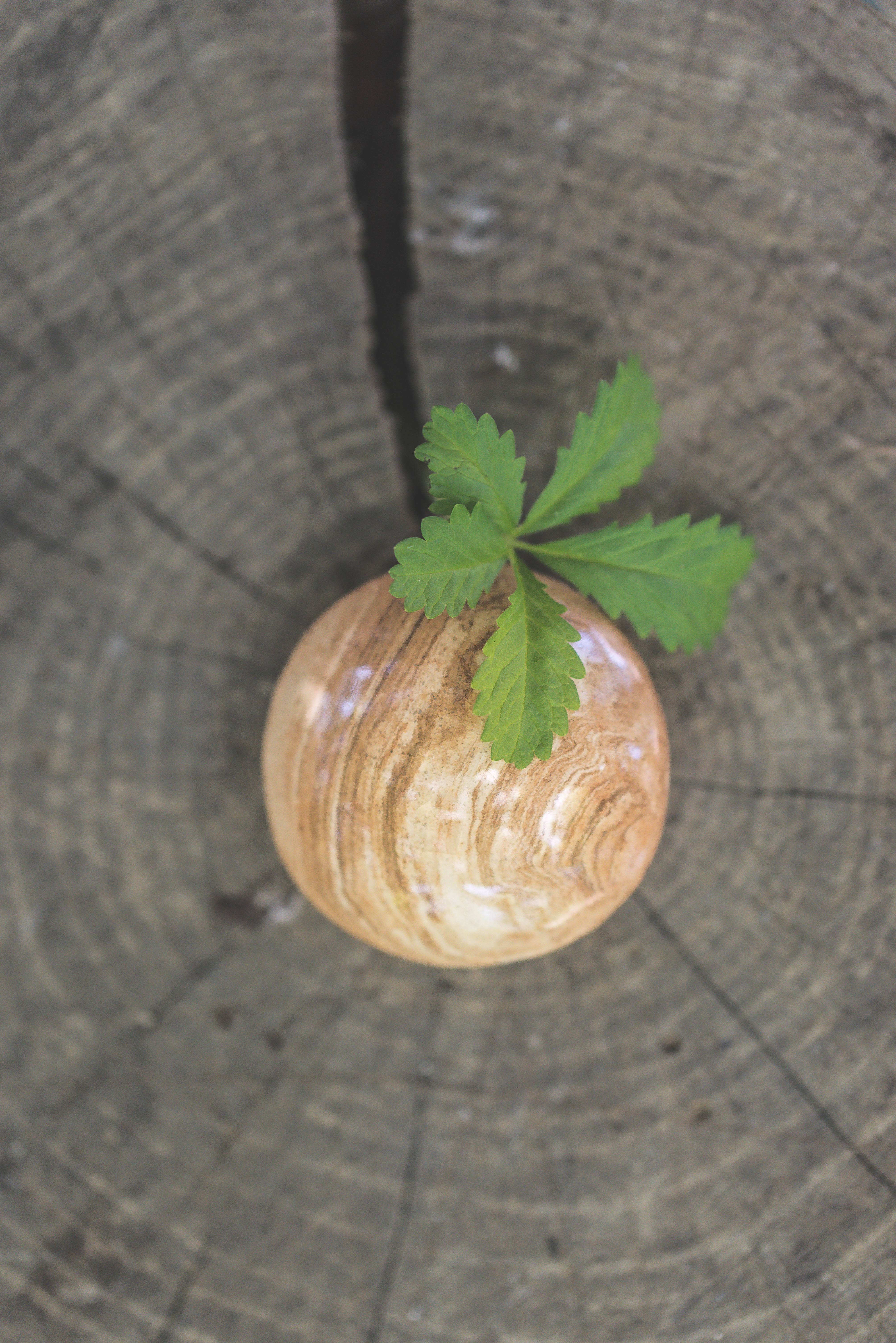 garobulles - Wholesale Facial Exfoliant/Scrub - Exfoliating and Massaging Face Stone2