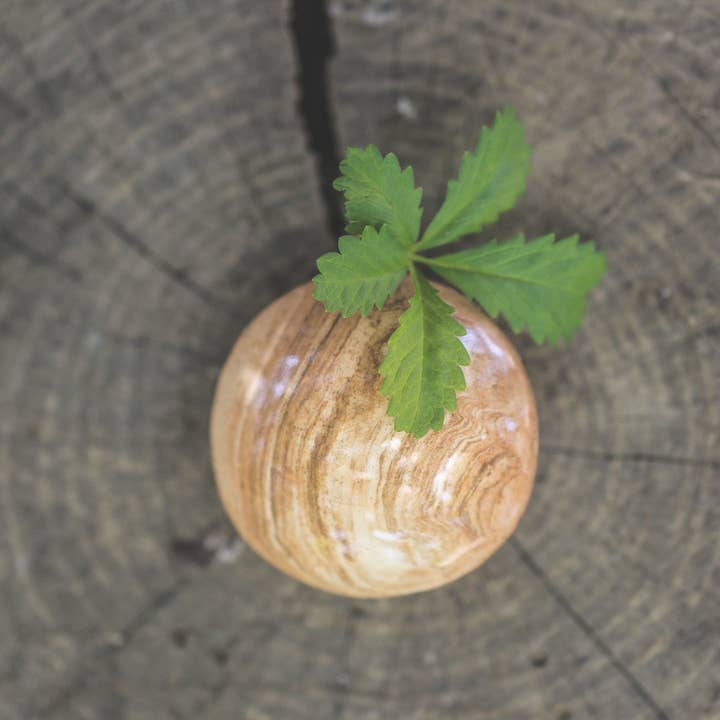 garobulles - Wholesale Facial Exfoliant/Scrub - Exfoliating and Massaging Face Stone2