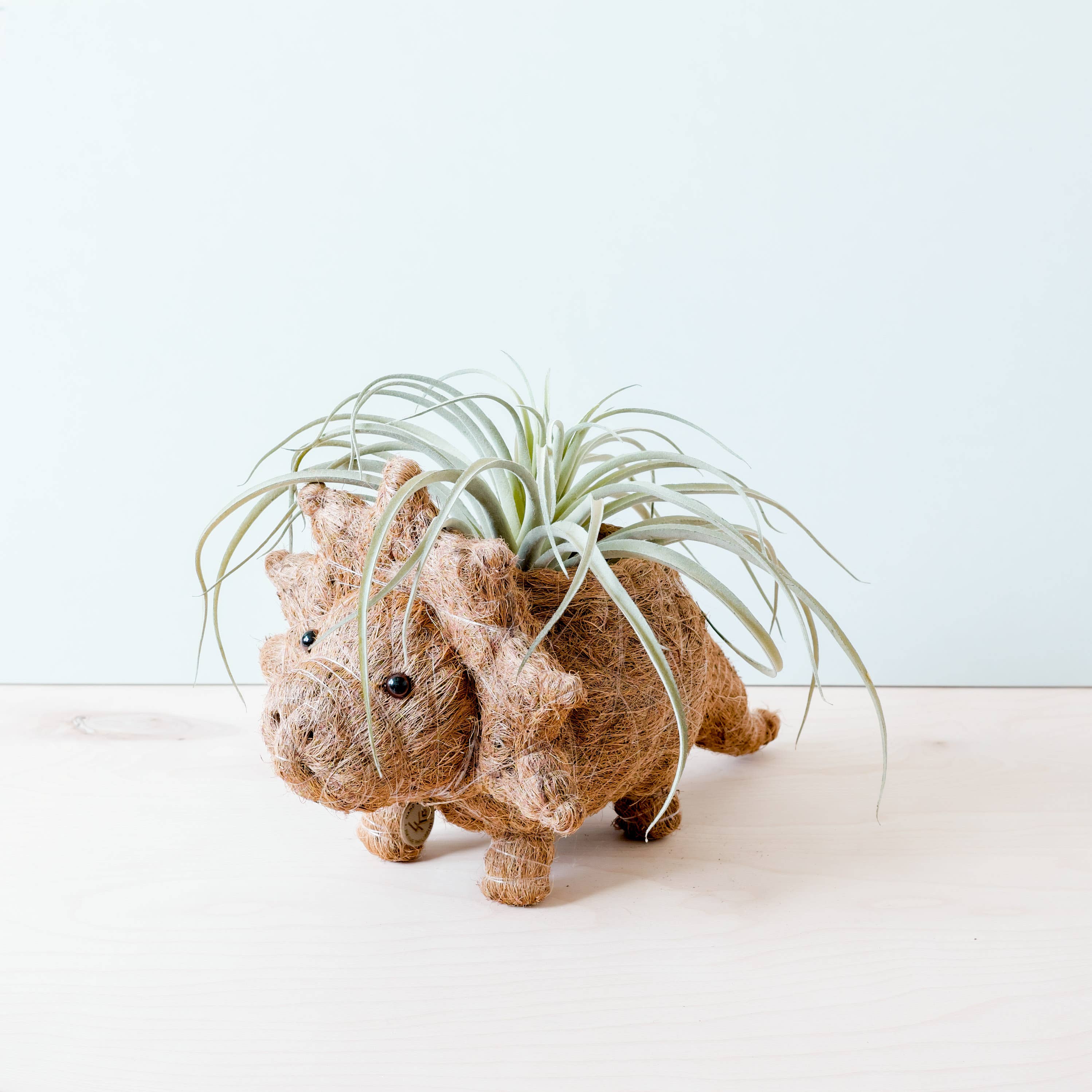 LIKHÂ - Wholesale Plant Pot - Animal Planter - Triceratops | LIKHA