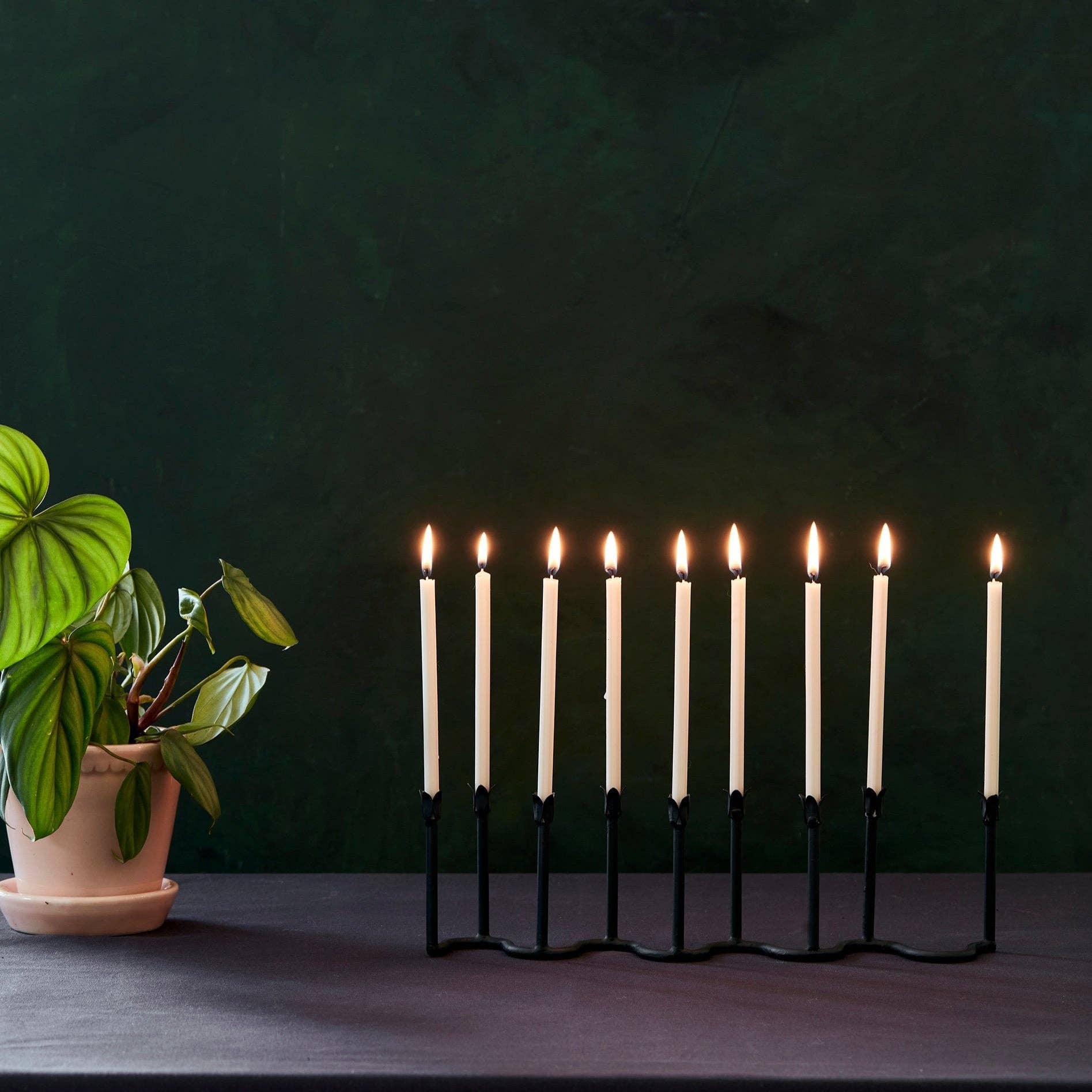 The Floral Society - Wholesale Menora - Baken Menorahs1