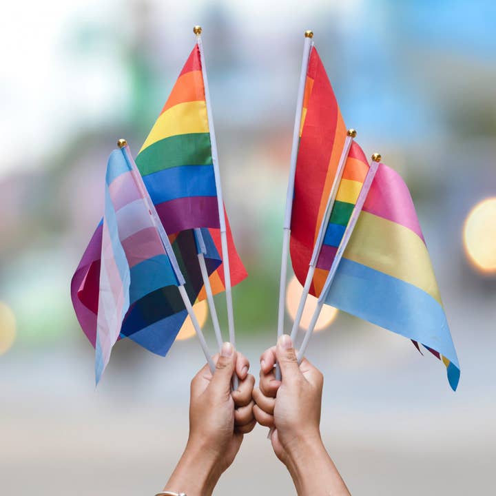 Mini-flag Pride for engroshandel hos Merchbaendchen