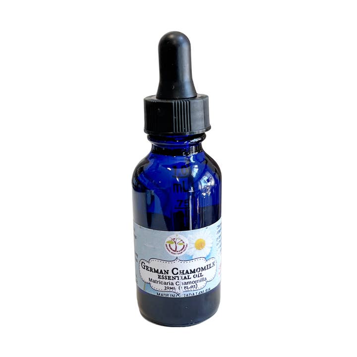 Olio essenziale di camomilla. Raccolto selvatico. per la vendita all'ingrosso da parte di Organic Body Shop