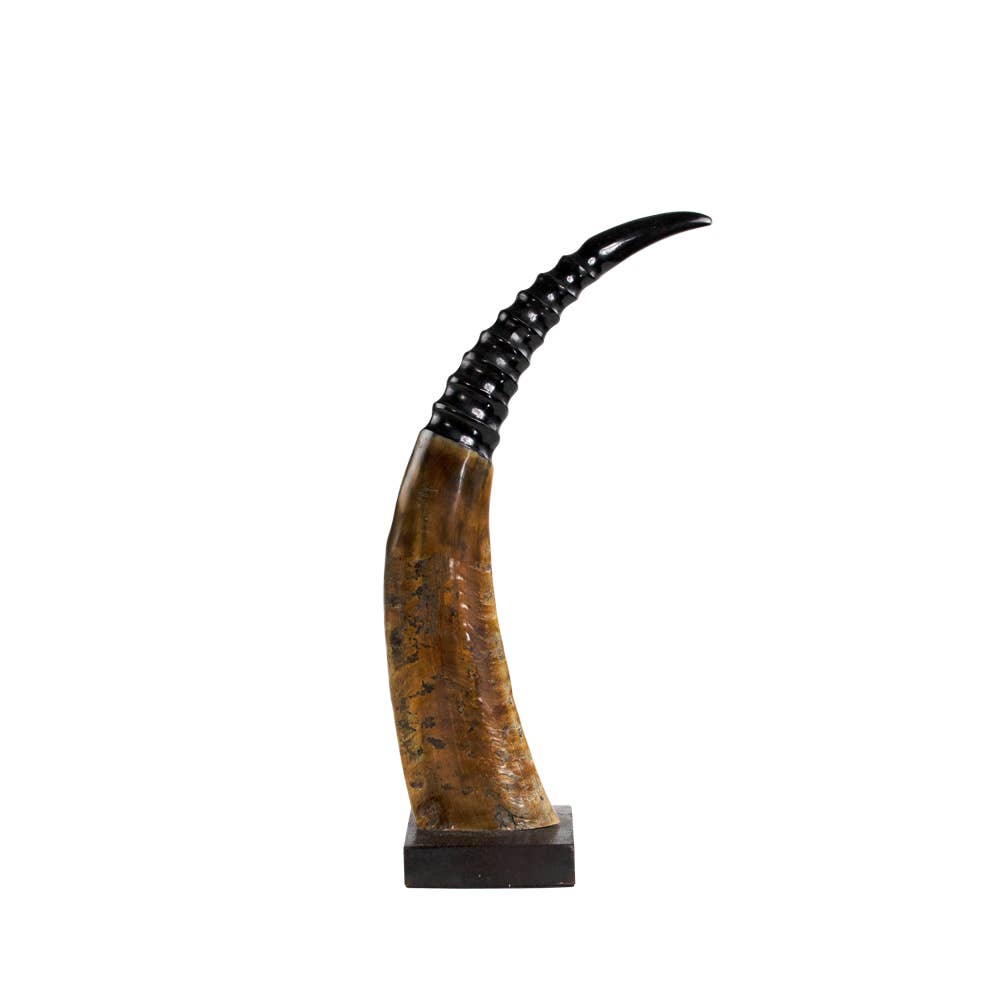 Mars & More - Brand of B Living - Wholesale Decorative Tabletop Object - Horn On Wood Rib 45cm0