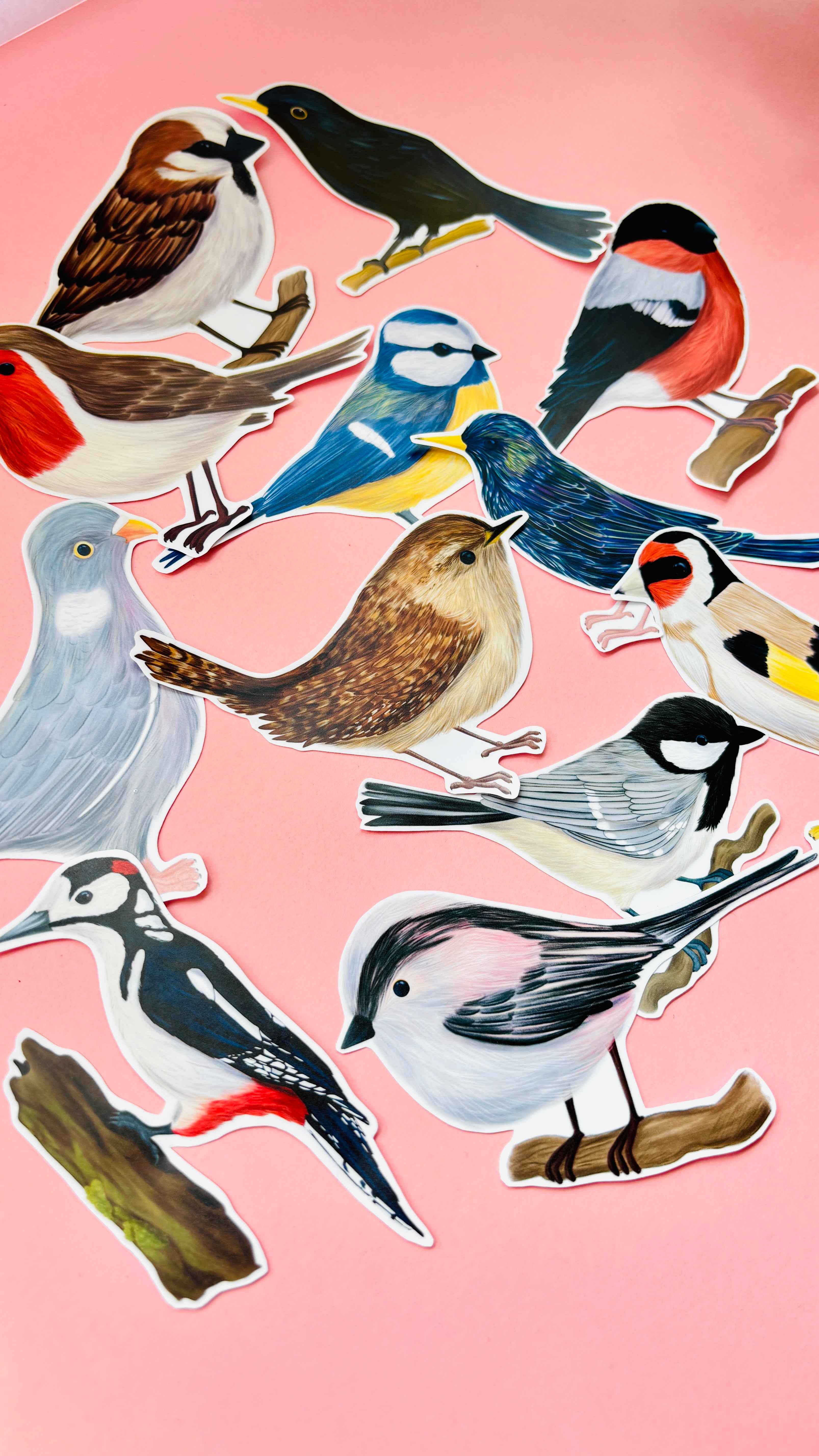 Pixiecraft - Wholesale Sticker - Garden Birds 10cm Vinyl Stickers: Nature Inspired Waterproof Decals12