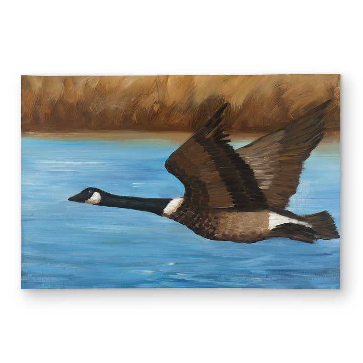 Tapete de Área Rústico Azul de Ganso do Canadá para Decoração de Casa por atacado de BEGIN HOME DECOR