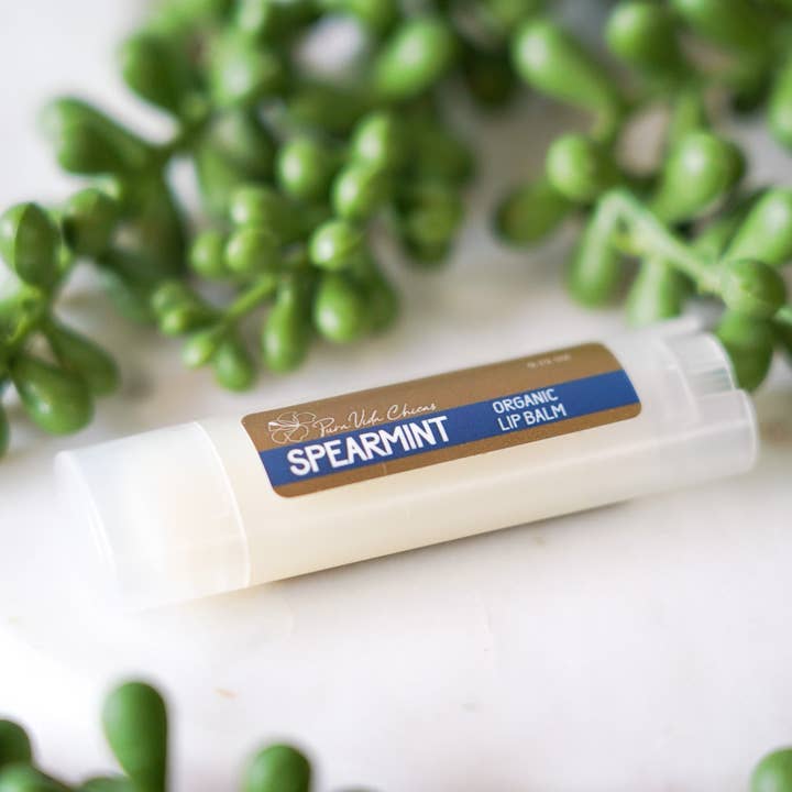 Spearmint Lip Balm for wholesale by Pura Vida Chicas
