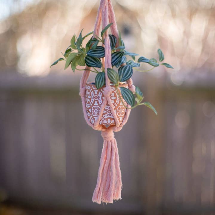 Freeleaf - Wholesale Hanging Planter - Mini Flourish Plant Hanger