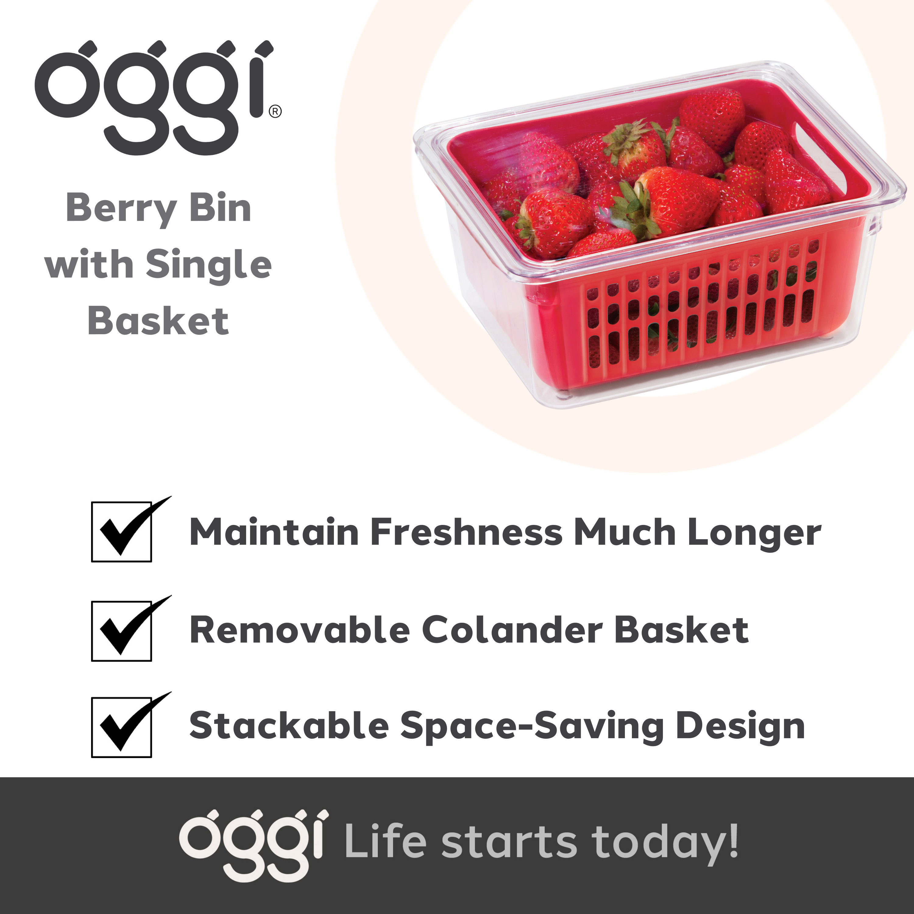Oggi - Wholesale Food Storage Container - Berry Bin - Single (8.75" x 6.75" x 3.75")4
