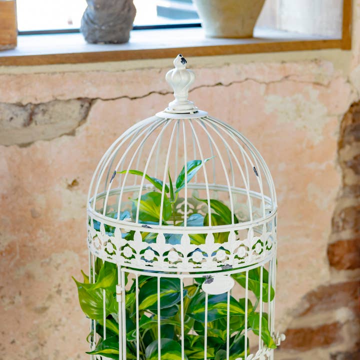 Zaer Ltd. International - Wholesale Plant Pot Stand - Victorian Style Birdcage Style Planters "Copenhagen 1843"9