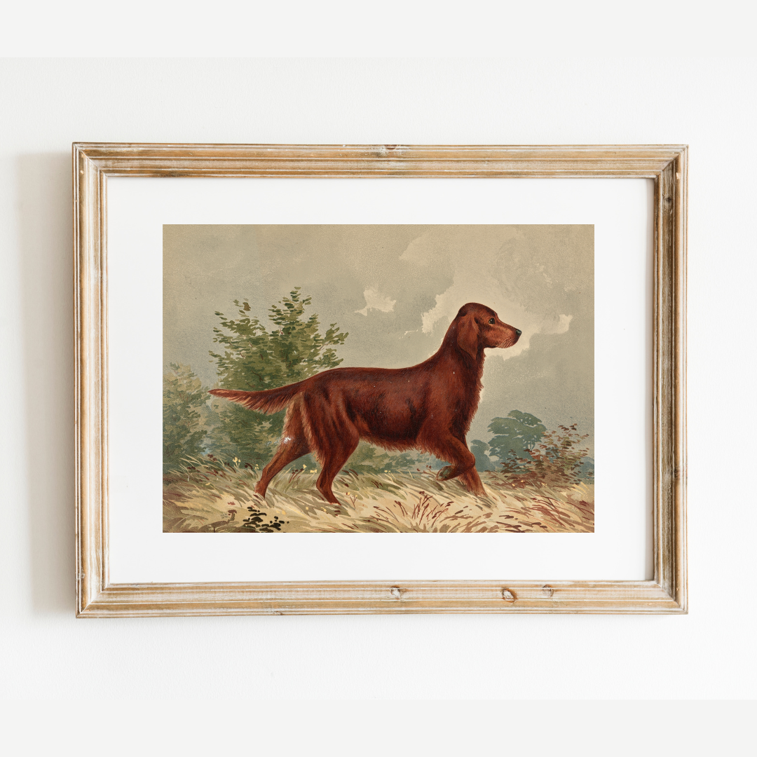 Sea to Skye - Wholesale Art Print - Flatcoated Retriever Antique Art Print3
