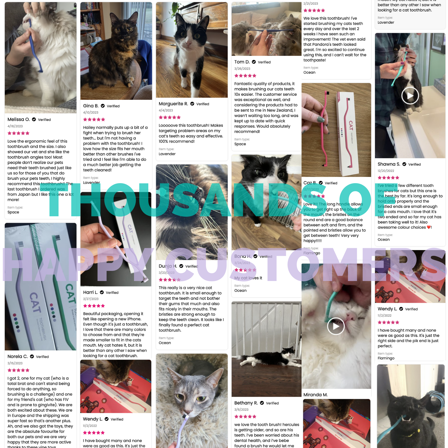 RYERCAT - Wholesale Pet Brush - Cat/Dog - Pack of 2 Cat Toothbrush Micro Head & Dual Sided13