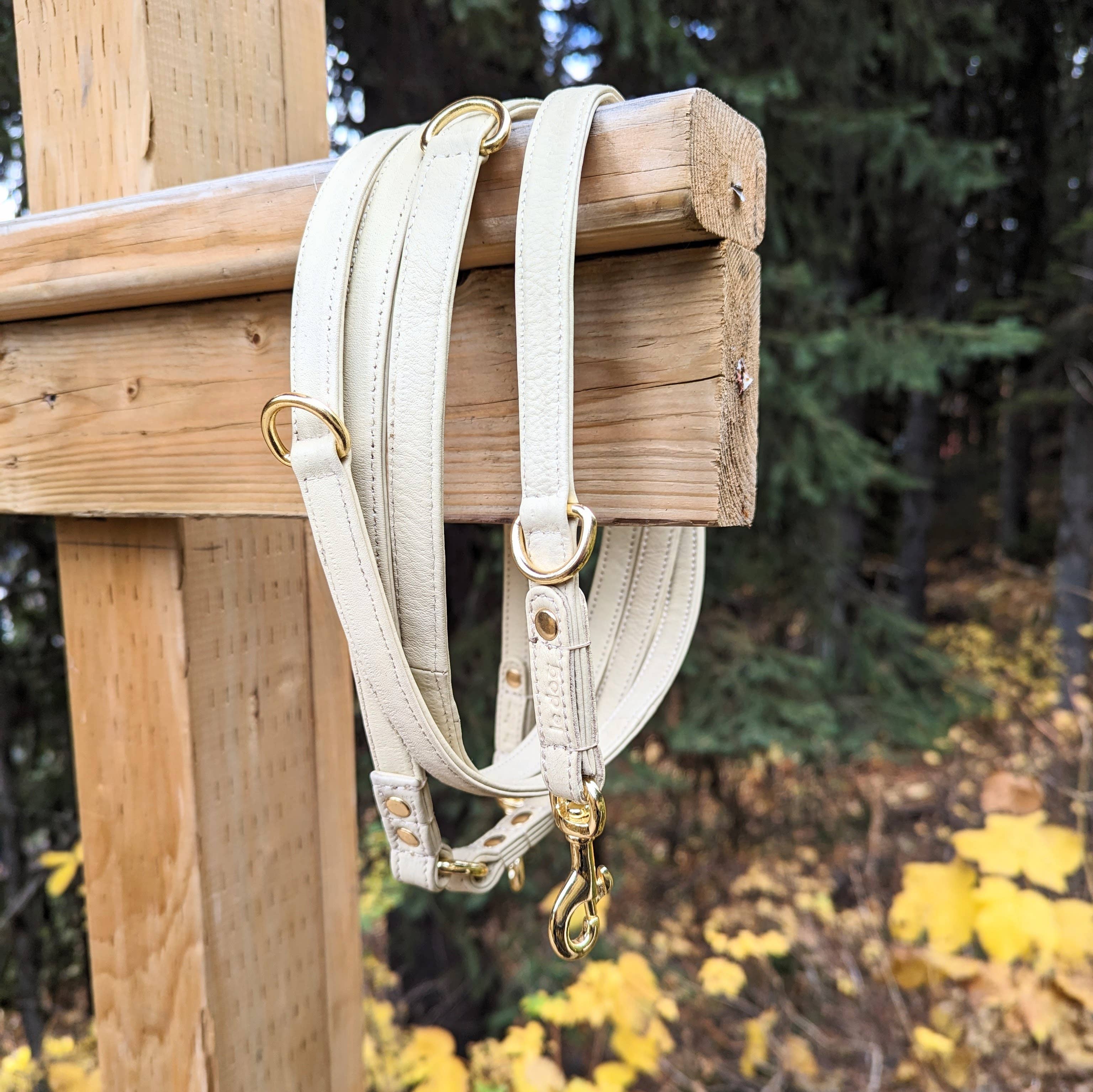 Le Dog Company - Wholesale Pet Leash - Dog - Longline Hands Free Leash1