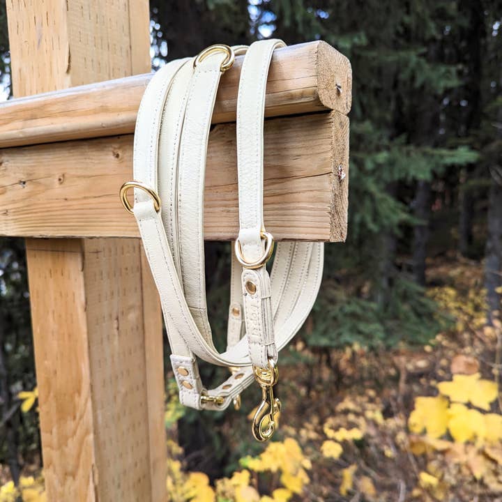 Le Dog Company - Wholesale Pet Leash - Dog - Longline Hands Free Leash1