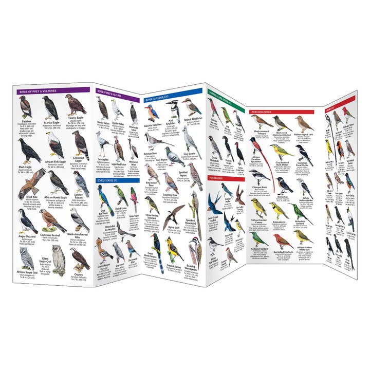 National Book Network - Wholesale Nature & Outdoors - Africa Birds Nature Guide2