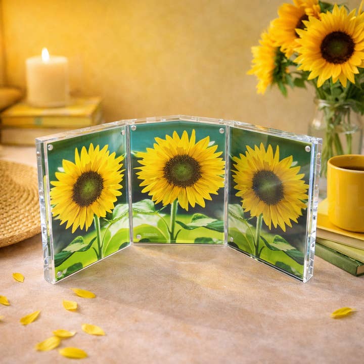 Accordion Triple Magnet Frame - Fits 6 Photos for wholesale by Canetti Design Group Inc.