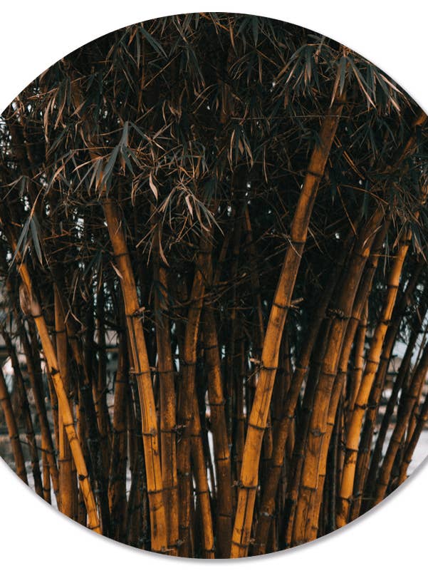 Muurcirkel i bambu för wholesale av Label2X B.V.